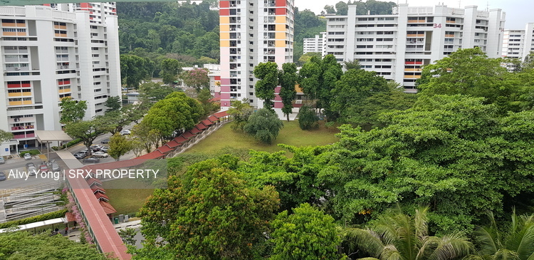 Bukit Purmei Road thumbnail photo